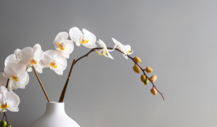 page_banner_img_mobile